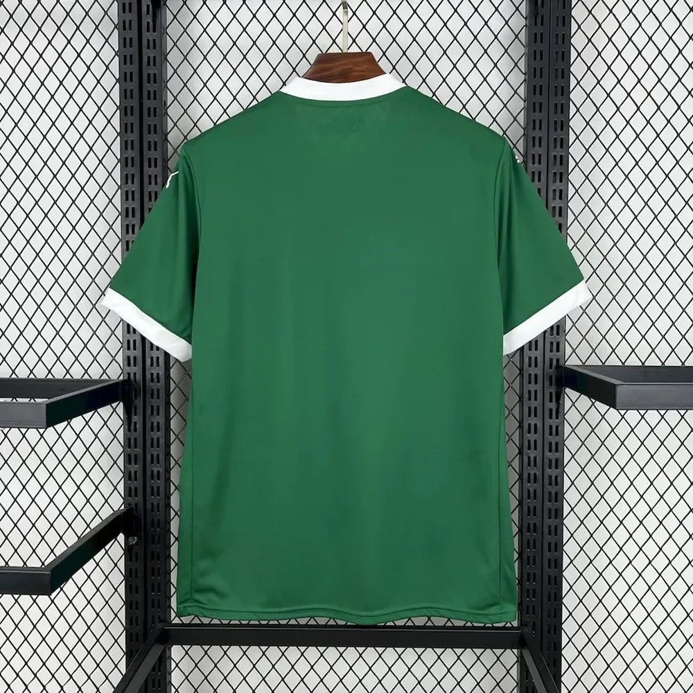 PALMEIRAS DOMICILE 25/26