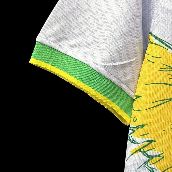 BRÉSIL CONCEPT OISEAUX 2024/2025