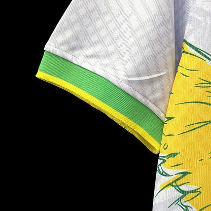 BRÉSIL CONCEPT OISEAUX 2024/2025