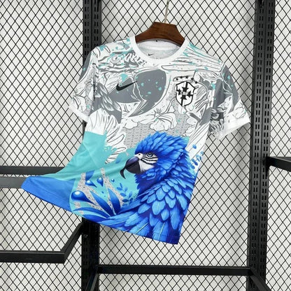 BRÉSIL CONCEPT OISEAU BLEU 2025